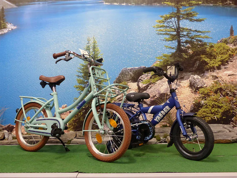 Kinderfietsen en accessoires in de winkel