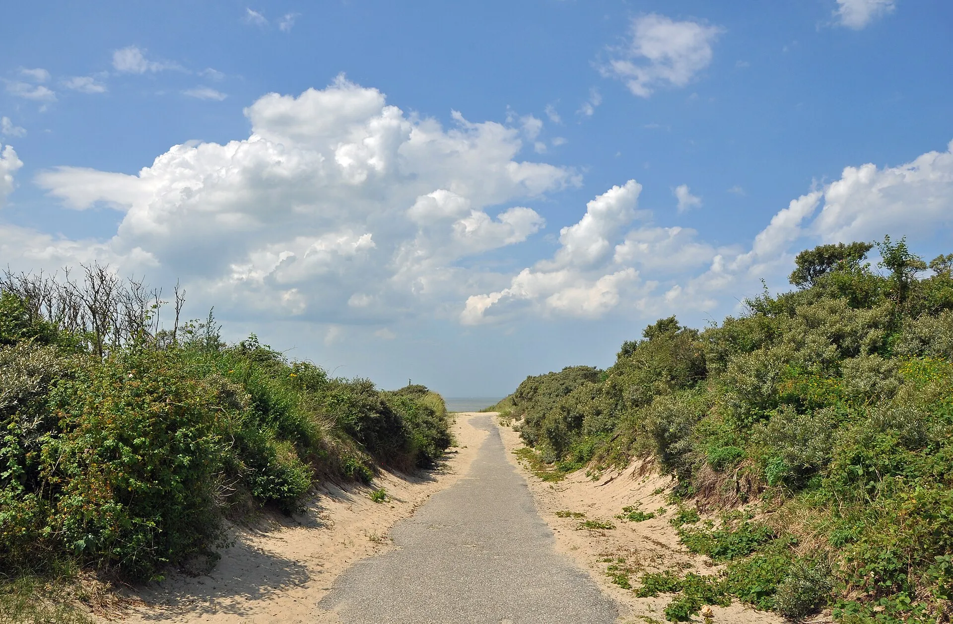 Cadzand Dunes R05