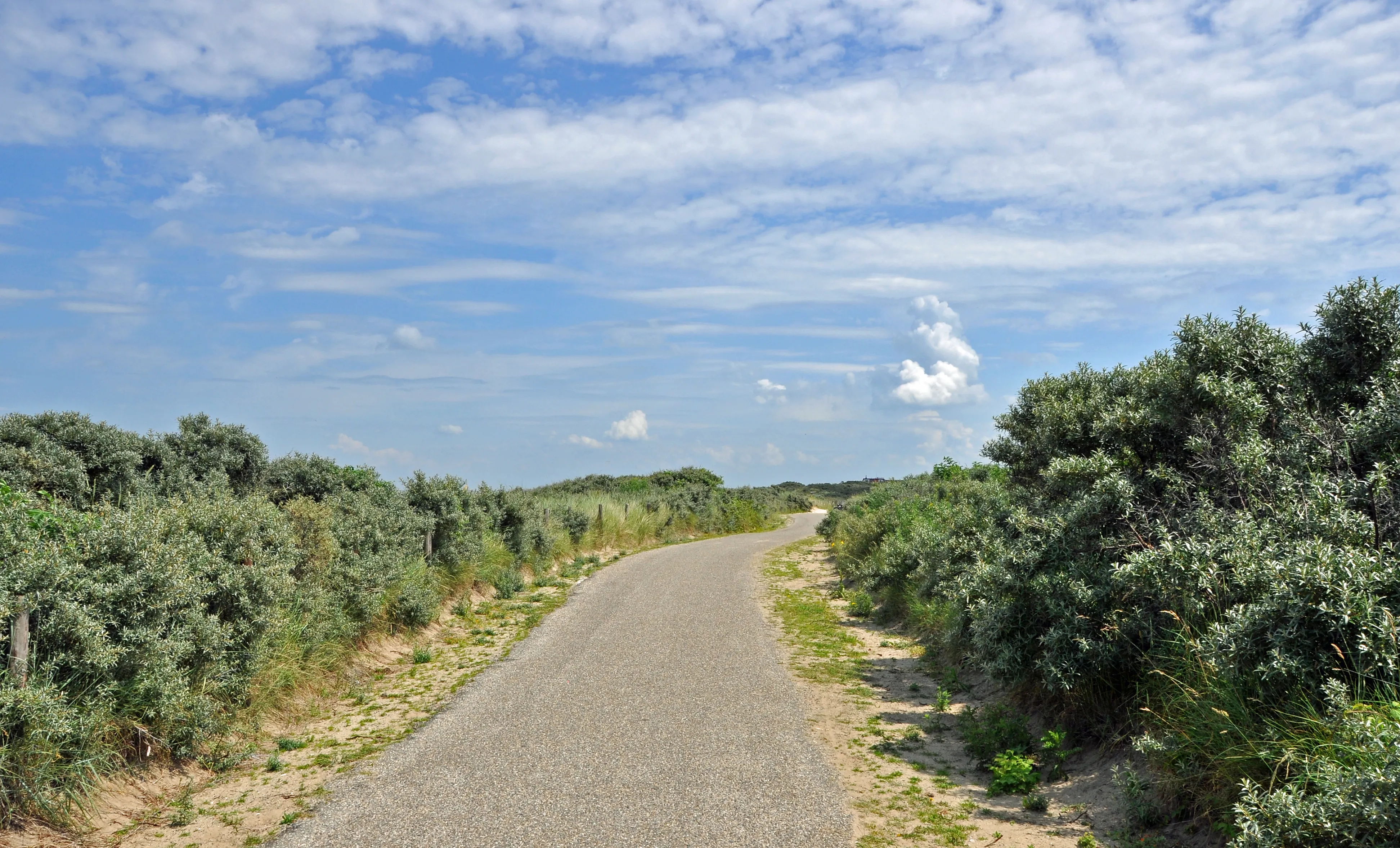 Duinen bij Cadzand aan de Zeeuwse kust