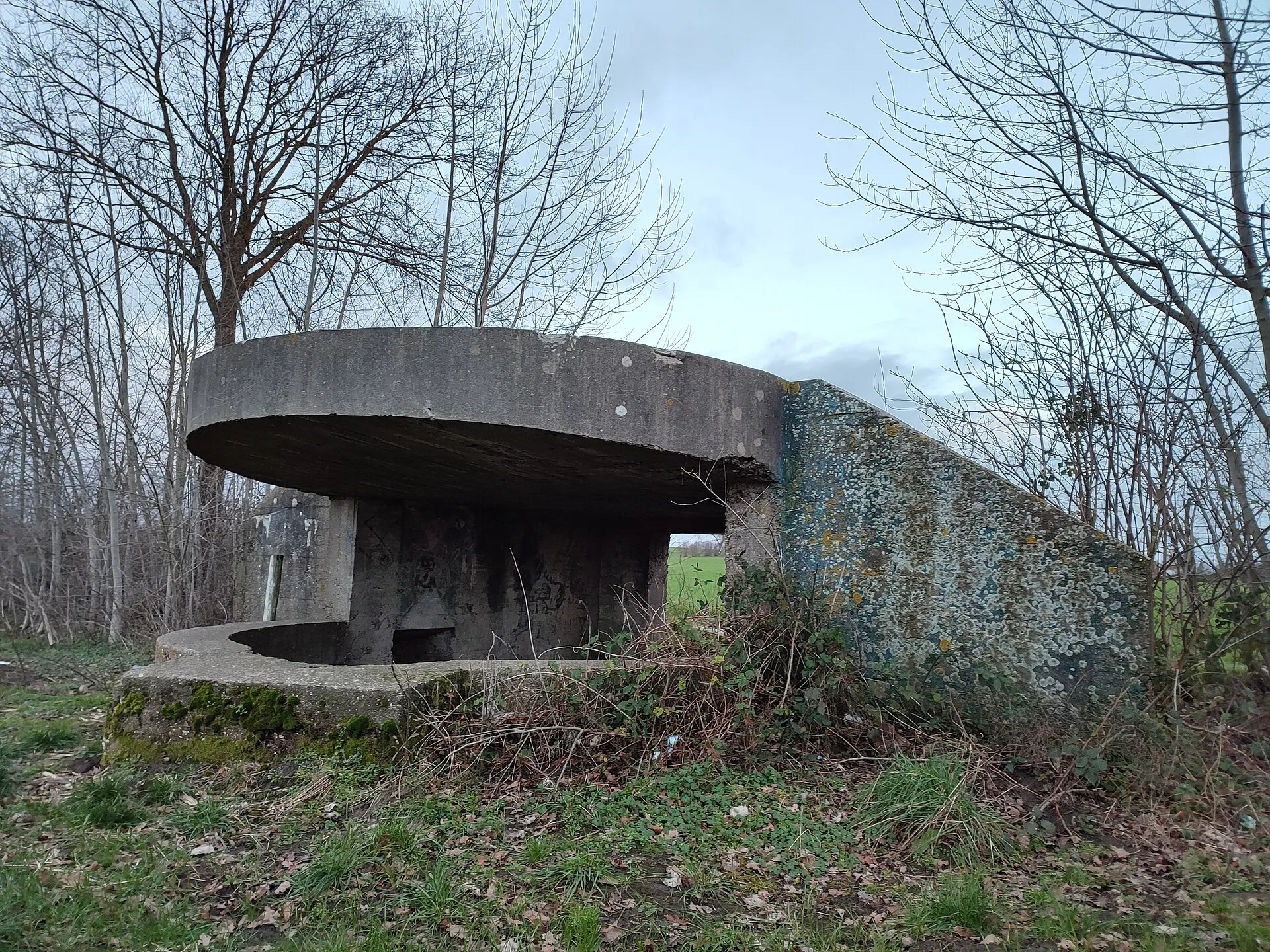 BunkerKleit